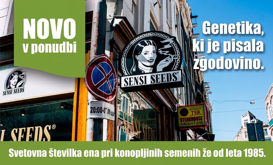 Sensi Seeds SL