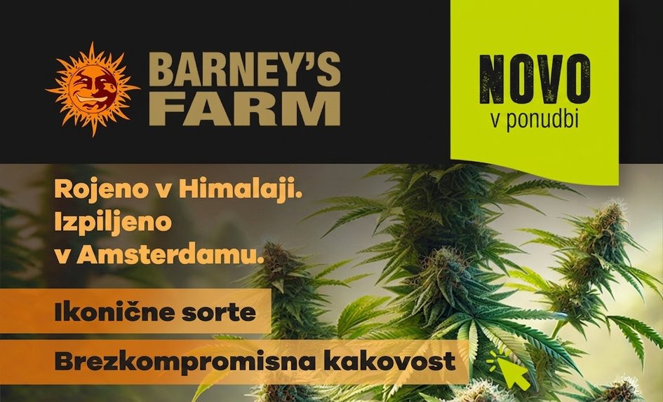 Barney's Farm SL