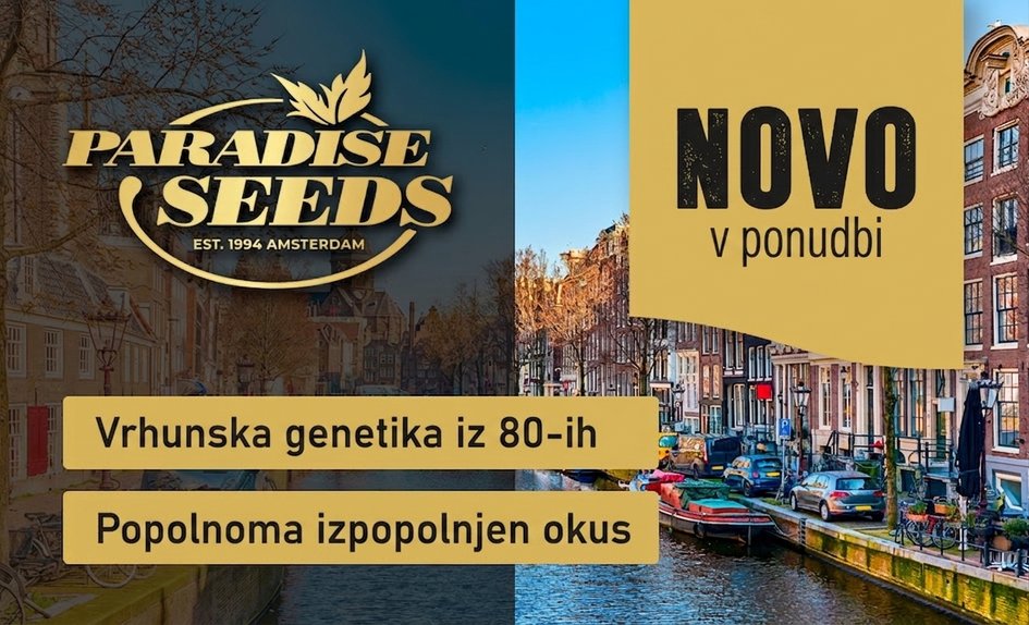 Paradise Seeds SL