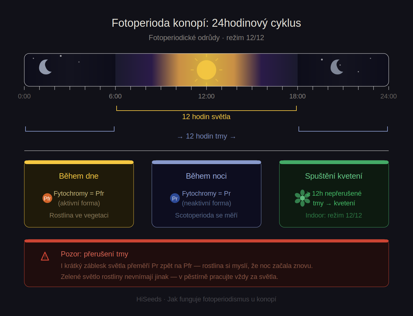 fotoperioda-konopi-infografika