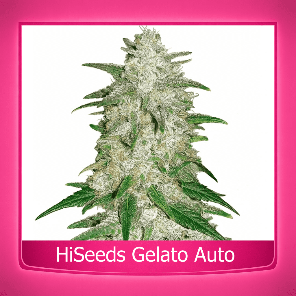 hiseedsgelatoauto_optimized