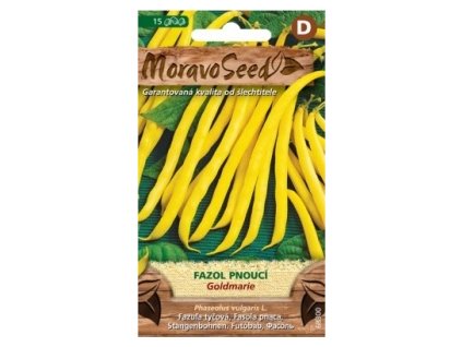 27813 1 seminka moravoseed fazol pnouci goldmarie zluty 68300