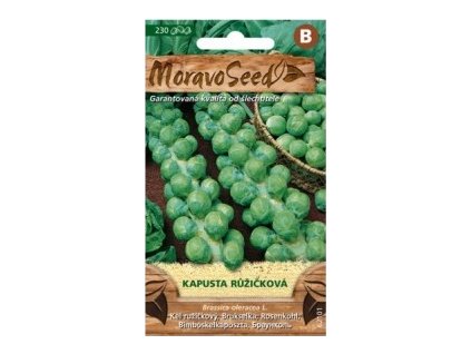 27828 1 seminka moravoseed kapusta ruzickova 62101