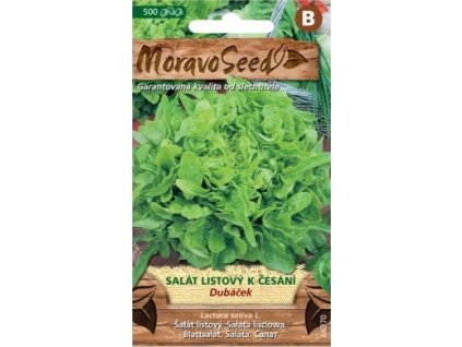 27945 1 seminka moravoseed salat listovy k cesani dubacek zeleny 66370