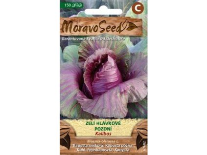 27966 1 seminka moravoseed zeli hlavkove pozdni ke skladovani kalibos cervene 67682