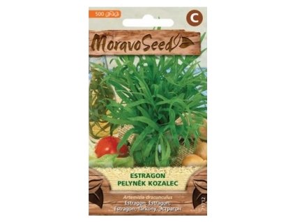 27984 1 seminka moravoseed estragon pelynek kozalec 71712