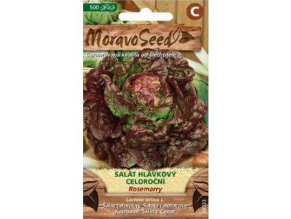 28152 1 seminka moravoseed salat hlavkovy celorocni rosemarry cerveny 66323