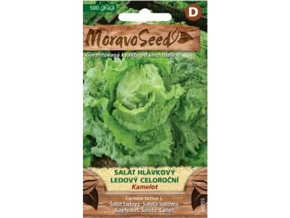 28155 1 seminka moravoseed salat hlavkovy pozdni ledovy kamelot 66355