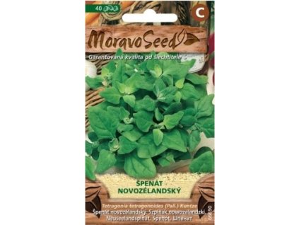 28164 1 seminka moravoseed spenat novozelandsky 66690