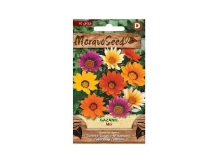 28218 1 seminka moravoseed gazanie zariva smes 01619