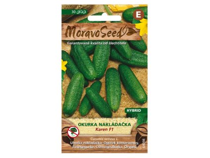 Semínka MoravoSeed Okurka nakládačka jemnoostná KAREN F1 - hybrid, 30s
