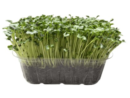 a9759eb3f53cadae76c5