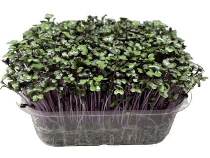 742690f51cfe472bed95