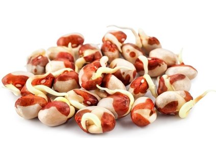 dc660524e43118fbaa7c262d35a24b0c