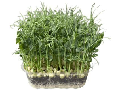 7be4b9187b4354f34eca