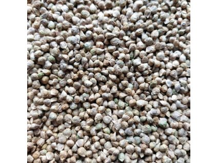 37841 spenat sety na microgreens 500 g