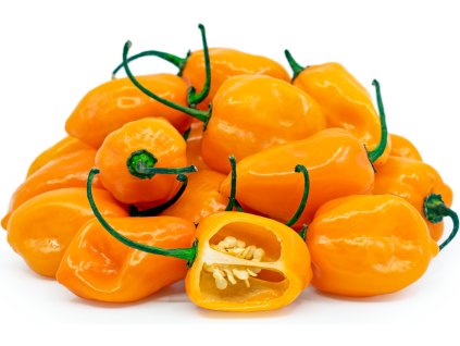Hot Chilli Pepper Habanero Orange
