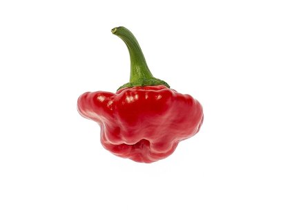 chilli JAMAICAN ROSSO