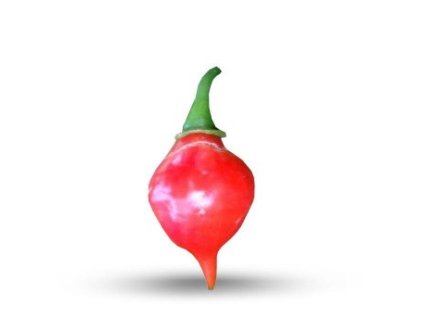 graines de piment peito de moca