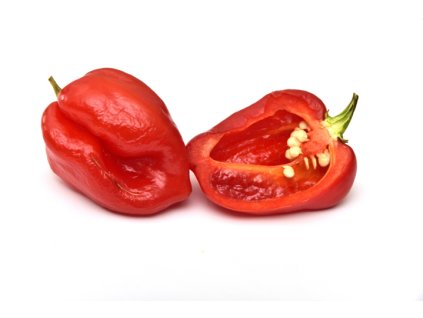 Peperoncino Habanero rosso lOrtofruttifero