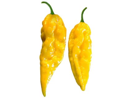 BHUT JOLOKIA YELLOW
