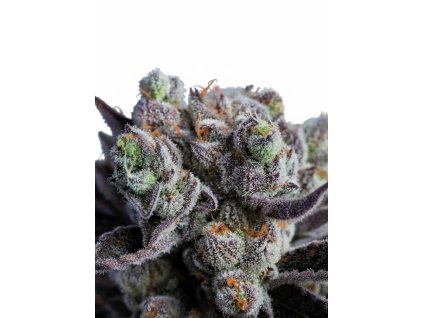 Blackberry Moonrocks