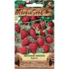 27822 1 seminka moravoseed jahodnik mesicni 61800