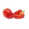 Peperoncino Habanero rosso lOrtofruttifero