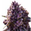 Dankberry