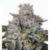 Chaos Cake Auto