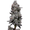 lemon cherry gelato (1)