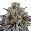 Artic Cherries - Perfect Tree 6 pcs  Zkittlez Cake x Divorce Cake x Cherrytini