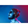 eng pl Neckband Magnetic Sport Earphones BlitzWolf AA ER2 Bluetooth 5 0 21383 2
