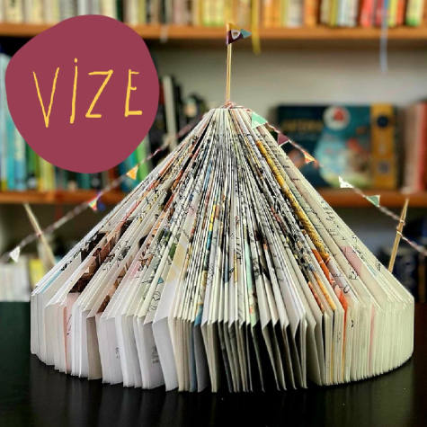 Naše vize