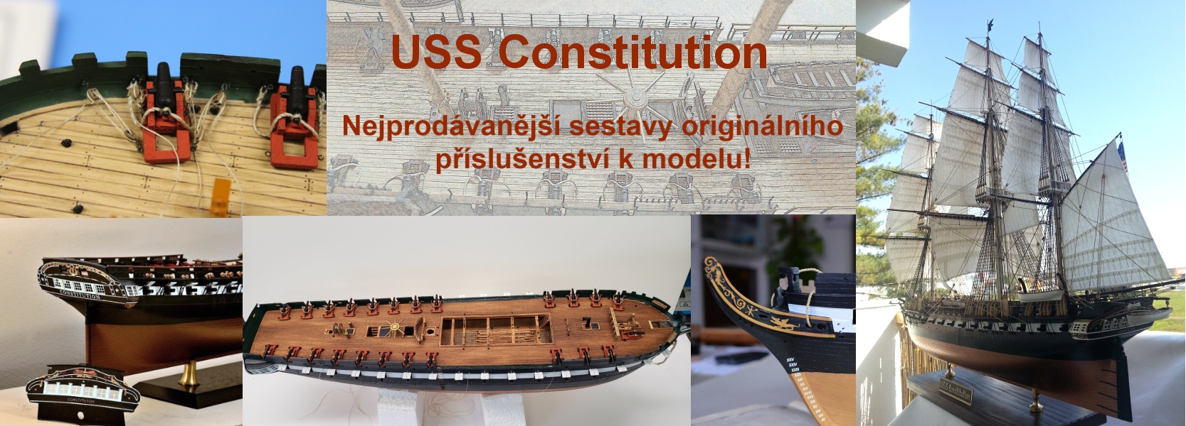 Constitution