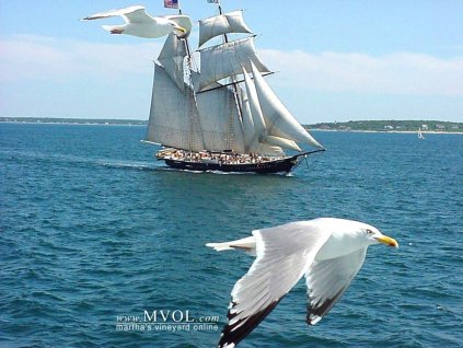 Lindberg Sandpiper Armed Schooner 1:100, HiSModel - sails 03