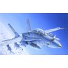 Model Kit letadlo 0016 - F/A-18C/D WILD WEASEL (1:72)