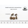 Standard walnut blocks continental 02