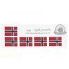 684F Norway flags 03W