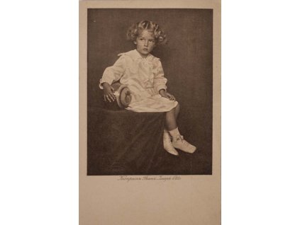 Pohlednice, Kronprinz Franz Josef Otto (3)