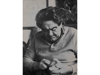 Propagační leták, J. Wielgus