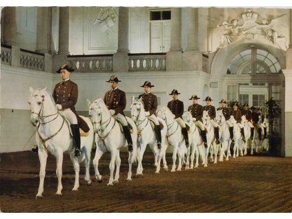 Pohlednice, Spanische Hofreischule, 1968 0490