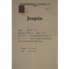 zeugnis 0035