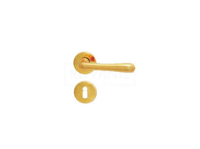 element rozet 2