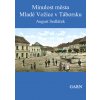 Mllada Vozice