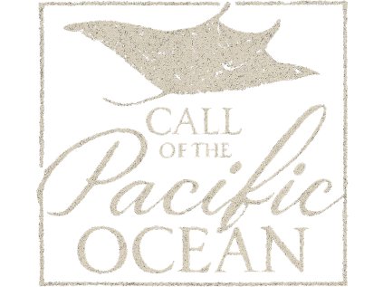 Pacifik Rejnok white