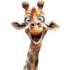 Žirafa