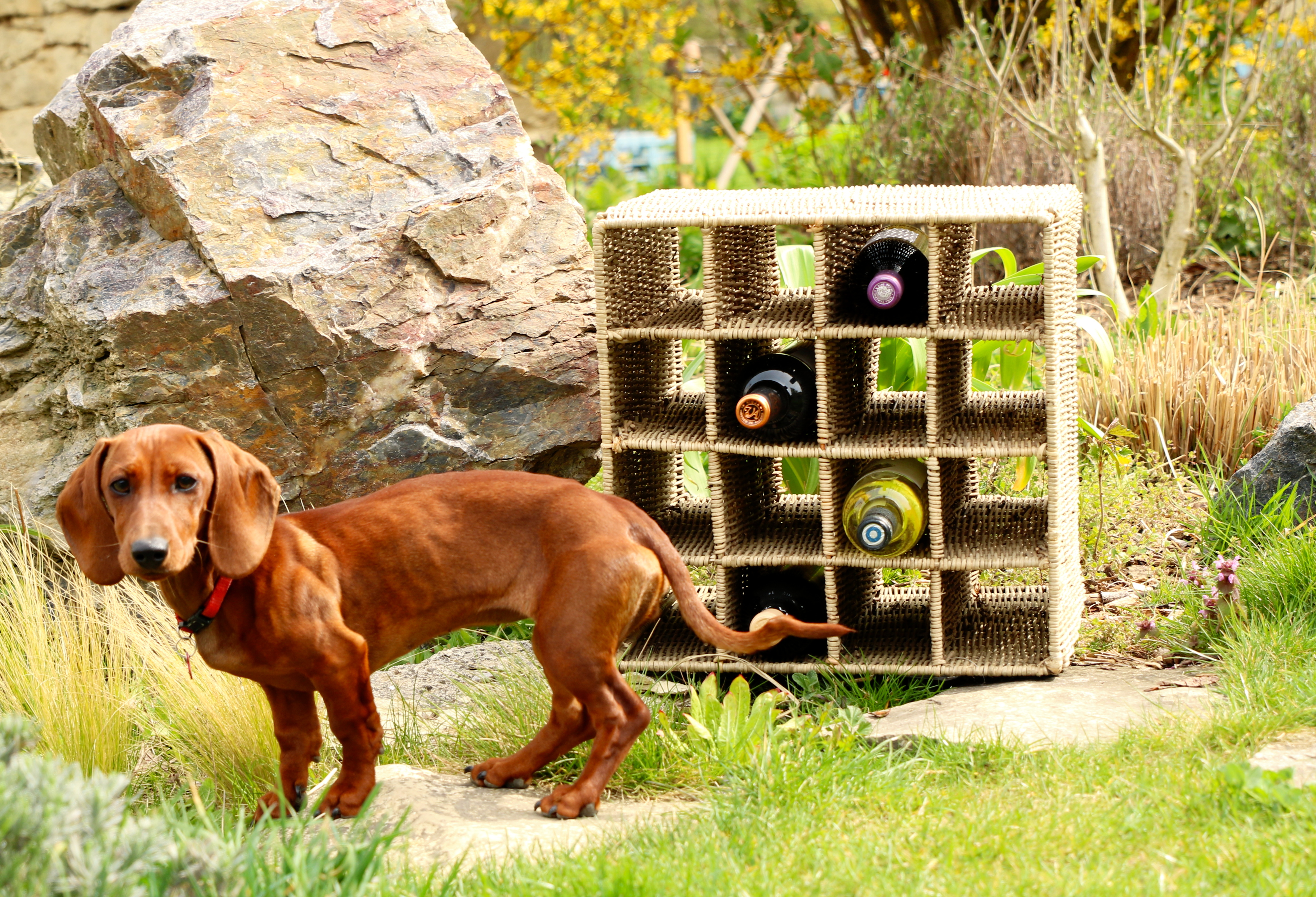 Nové focení nábytku Hitra v exteriéru - léto s Hitrou je správná volba