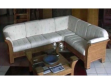 amazonia320