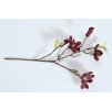 Květinadekorace magnolie (1)